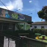 Galeria de Fotos