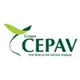 cepav